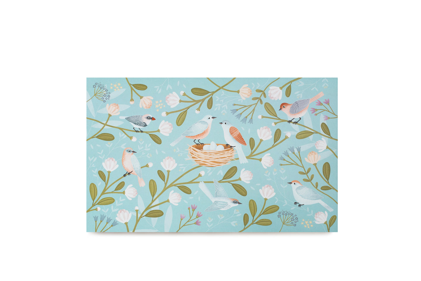 Baby's Nest su organine medvilne Paradise